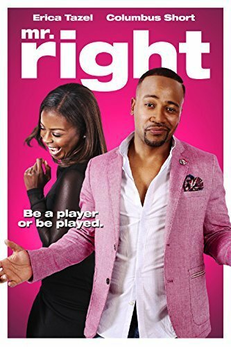 Mr. Right (2015)