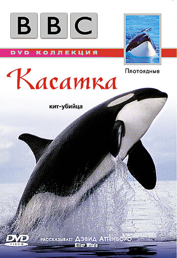 BBC: Касатка (2003)