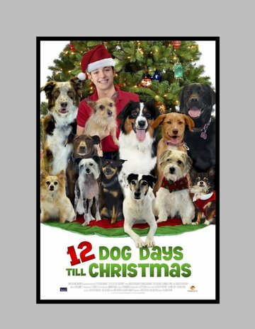 12 Dog Days of Christmas (2014)