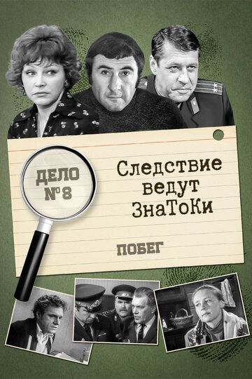 Следствие ведут знатоки: Побег (1973)